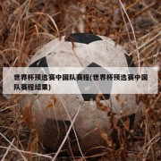 世界杯预选赛中国队赛程(世界杯预选赛中国队赛程结果)