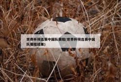 世界杯预选赛中国队赛程(世界杯预选赛中国队赛程结果)