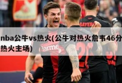 nba公牛vs热火(公牛对热火詹韦46分热火主场)