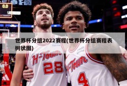 世界杯分组2022赛程(世界杯分组赛程表树状图)