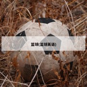 篮球(篮球英语)
