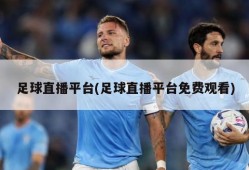 足球直播平台(足球直播平台免费观看)