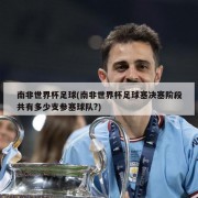 南非世界杯足球(南非世界杯足球塞决塞阶段共有多少支参塞球队?)