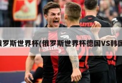 俄罗斯世界杯(俄罗斯世界杯德国VS韩国)