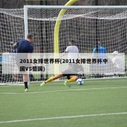 2011女排世界杯(2011女排世界杯中国VS德国)