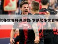 罗纳尔多世界杯进球数(罗纳尔多世界杯进球数量)