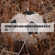 佩贾斯托贾科维奇(佩贾斯托贾科维奇技术特点)
