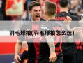 羽毛球拍(羽毛球拍怎么选)