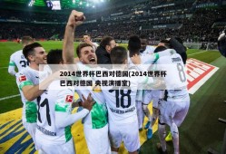 2014世界杯巴西对德国(2014世界杯巴西对德国 央视演播室)