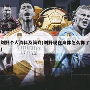 刘野个人资料及简介(刘野现在身体怎么样了)
