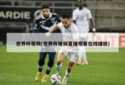 世界杯视频(世界杯视频直播观看在线播放)