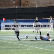 费莱尼中超第一球(中国足协认定费莱尼的进球为好球)