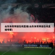 山东体育频道在线直播(山东体育频道在线直播观看)