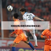阿斯科利(阿斯科利足球俱乐部)