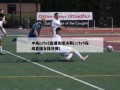 中央cctv5直播女排决赛(cctv5在线直播女排决赛)