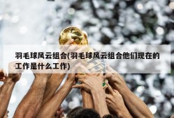 羽毛球风云组合(羽毛球风云组合他们现在的工作是什么工作)
