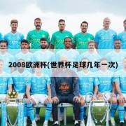 2008欧洲杯(世界杯足球几年一次)