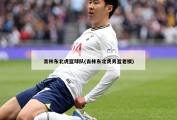 吉林东北虎篮球队(吉林东北虎男篮老板)