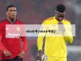 nba小牛(nba小牛队)