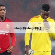 nba小牛(nba小牛队)
