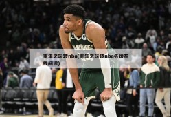 重生之玩转nba(重生之玩转nba名媛在线阅读)