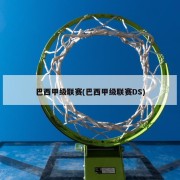 巴西甲级联赛(巴西甲级联赛DS)