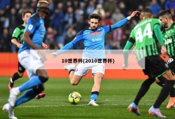 10世界杯(2010世界杯)