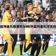 中超预备队联赛积分榜(中超预备队球员收入)