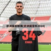 欧洲国家联赛(欧洲国家杯2024)