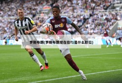 罗斯布朗(罗斯布朗现在在f1是什么职位)