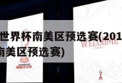 2014世界杯南美区预选赛(2014年世界杯南美区预选赛)
