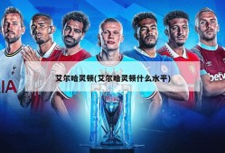 艾尔哈灵顿(艾尔哈灵顿什么水平)