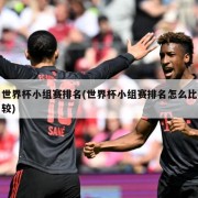 世界杯小组赛排名(世界杯小组赛排名怎么比较)