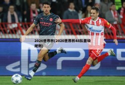 2026世界杯(2026世界杯48队晋级规则)