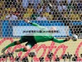 2010世界杯32强(2010的世界杯)