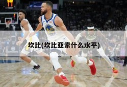 坎比(坎比亚索什么水平)