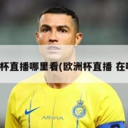 欧洲杯直播哪里看(欧洲杯直播 在哪看)