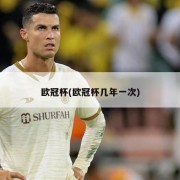 欧冠杯(欧冠杯几年一次)