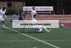 埃尔顿布兰德(埃尔顿布兰德集锦)