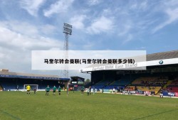 马奎尔转会曼联(马奎尔转会曼联多少钱)