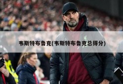 韦斯特布鲁克(韦斯特布鲁克总得分)