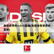 央视世界杯cctv5直播(央视体育世界杯直播)