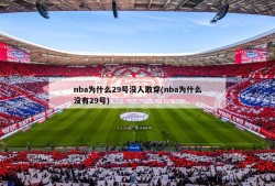 nba为什么29号没人敢穿(nba为什么没有29号)