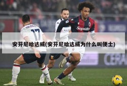 安芬尼哈达威(安芬尼哈达威为什么叫便士)