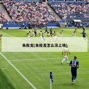 朱俊龙(朱俊龙怎么没上场)