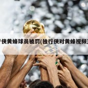 独行侠黄蜂球员被罚(独行侠对黄蜂视频直播)