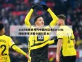 2015女排世界杯中国对日本(2015女排世界杯决赛中国对日本)