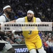 新奥尔良黄蜂(新奥尔良黄蜂和夏洛特黄蜂的区别)
