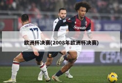 欧洲杯决赛(2008年欧洲杯决赛)