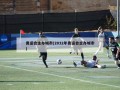 奥运会主办城市(2032年奥运会主办城市)